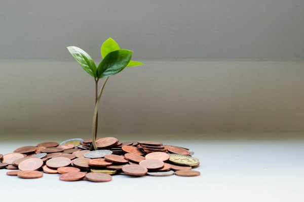 Savings vaults